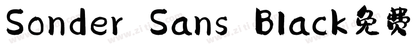 Sonder Sans Black免费下字体转换